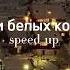 три белых коня Speed Up