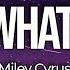 Miley Cyrus Gimme What I Want Lyrics So Gimme What I Want Or I Ll Give It To My