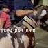 Shots Video Masha Allah Heavyweight Quality 160 Kg Bakre Owner Ismail Navi Surat Ghar Ke Qurbani