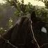 PAUL WALKER Escaping The Ranch THE DEATH LIFE OF BOBBY Z 2007