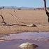 Namibia Live Stream In The Namib Desert