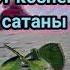 О Аллах мой всемогущий Используй милость к сути прикоснуться Произнеся Аллаhу Акбар