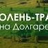 Максим Зорич Одолень трава на стихи Анны Долгаревой