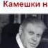 Владимир Солоухин Слово о словах