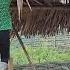 The BeNa Sisters Built A New Chicken Coop To Prepare To Buy Chicks To Raise