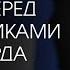 Речь Марка Цукерберга перед выпускниками Гарвард 2017