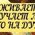 ПЕРЕЖИВАЕТ ЛИ СКУЧАЕТ ЛИ ЧТО У НЕГО НА ДУШЕ К ВАМ ТАРО 3 варианта Онлайн расклад