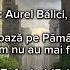 O Nouă Prorocie De Avertizare Pentru Popor Aurel Bălici Chicago Illinois