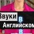 Как сказать кис кис на английском А как кошка мурлыкает Учим английский с нуля эффективно и просто