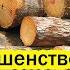 Финны в бешенстве из за отказа России поставлять им самый лакомый кусок дрова из Карелии