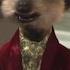 Aleksandr Orlov The Meerkat Takes On Piers Morgan Good Morning Britain