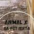 Animal X Sa Pot Ierta Jay Ko Motiv Remix