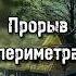 Прорыв периметра Книги по сталкеру даблган сталкер Doublegun книгисталкер сидорович хемуль