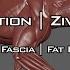 Maya Animation Ziva Dynamics Muscle System Fat Simulation