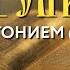 Толкование Евангелия с митр Антонием Паканичем Воскресенье 27 октября 2024 года