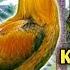 KATE KURT GAMEFARM GOLD DIGGER BIG FARM QUALITY GAMEFOWL IN THE PHILIPPINES