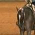 Mary Brown Horsemanship