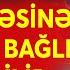 NATO Rusiya Sərhədində Savaş Hazırlığına Başlayır Şimali Avropa ölkələri ən Böyük Təlimə Hazırlaşır