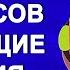 Проверьте свой интеллект Тесты на эрудицию и общие знания