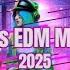 Musik Mix 2024 EDM Remixe Beliebter Songs Neue Bass Boosted Tracks Gaming Musik 2024 2025