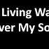 Let Your Living Water Flow Over My Soul Instrumental Worship W Lyrics