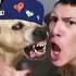 Epic Beatbox Duet Man And Dog Wow The Crowd Escobeditto Via TikTok Beatbox Dogs Shorts