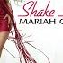 Shake It Off Radio Mix