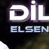 Elsen Pro Dilbar