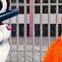 KAT ESCAPES KUROMI S PRISON RUN IN ROBLOX OBBY