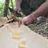 Use Bamboo Pipes To Cover The Roof Life In The Green Forest