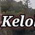 Kelok 44