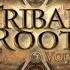 Tribal Roots Vol 1 Mixed By Astral Projection Dacru Records