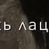 Раяна Асланбекова Безам д1а баьлла новинка для заказа видео напиши на ватсап 89257774503