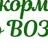 Схема введения прикорма по ВОЗ Основные правила введения прикорма