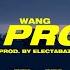 WANG LOW PROFILE Official Video Prod By Electabaz