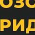 Позор ханафитов матуридитов Враги Сунны