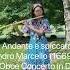 Andante E Spiccato By Alessandro Marcello Flute And Piano From Oboe Concerto In D Minor