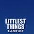 Camylio Littlest Things Lyrics