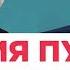 Во что превратилась Россия за 20 лет правления Путина