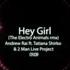 Andrew Rai 2 Man Live Project Hey Girl The Electro Animals Remix