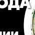 Александр Марков Открытия в эволюции Итоги 2023 года