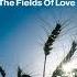 ATB Feat York The Fields Of Love Instrumental