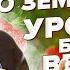 ВСЕ о ЗЕМЛЯНИКЕ КЛУБНИКЕ Подкормки Урожай ведрами Болезни Вредители