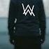 Alan Walker Style Ananau New Song 2024