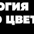 Черный цвет и Психология Одежда черного цвета