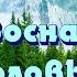 Кровоснабжение головы Настрой Сытина для мужчин и женщин