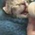 Kitten Cat Care What Do You Feed Newborn Kittens