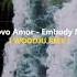 Novo Amor Embody Me WOODJU RMX