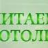 Читаем Добротолюбие 1 августа Священник Константин Корепанов