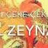 GÜNEL ZEYNALOVA RESMİMİ ÇEKE ÇEKE REMİX